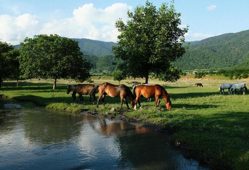 پانسیون Nazy S Guest House