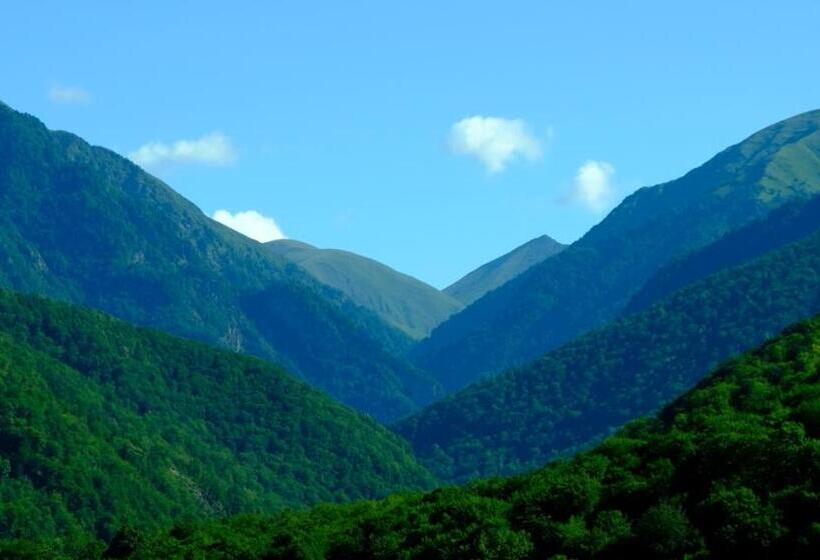 پانسیون Nazy S Guest House