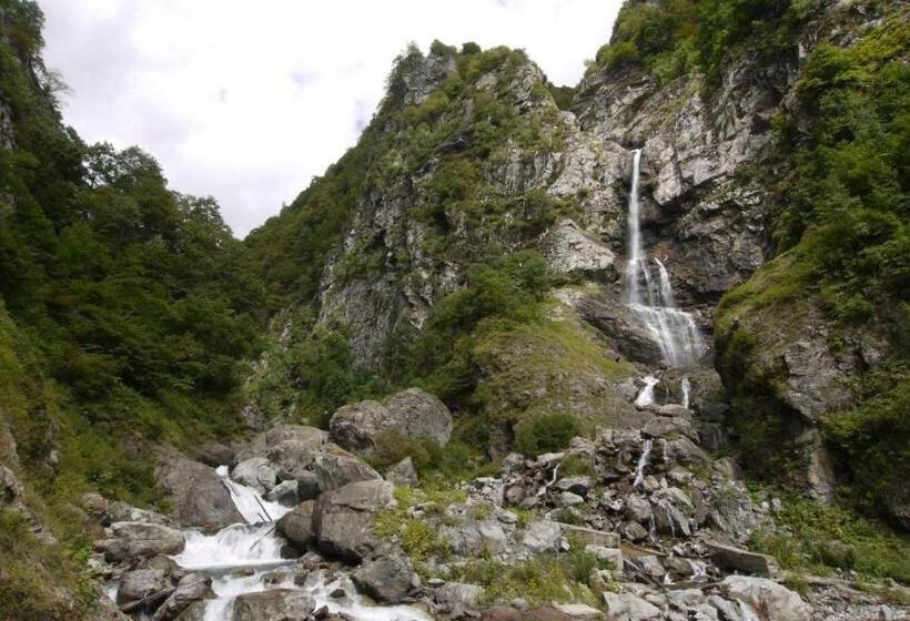 پانسیون Nazy S Guest House