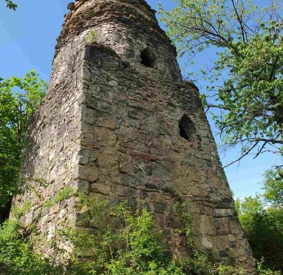 پانسیون Nazy S Guest House