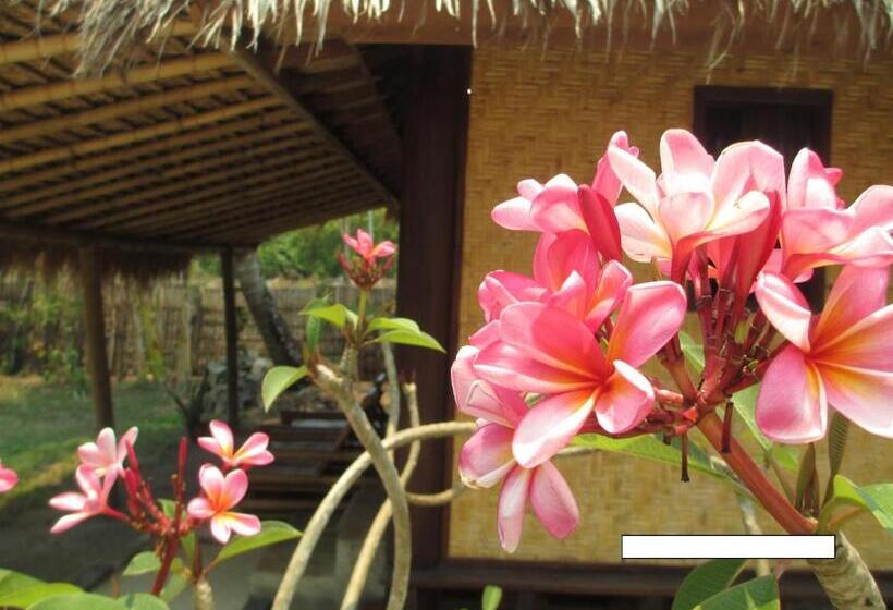 Pensiune Selong Belanak Bungalows