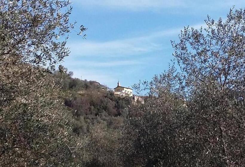 بنسيون Villa Anna