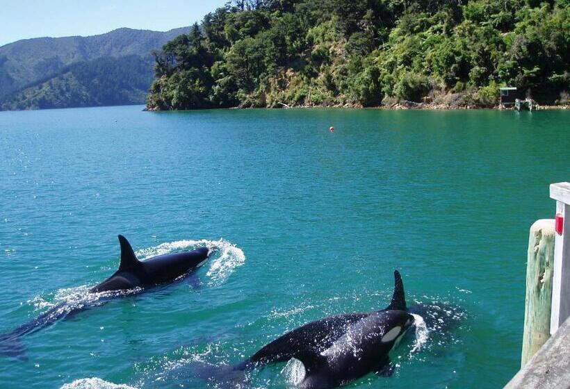 منتجع The Lodge At Te Rawa