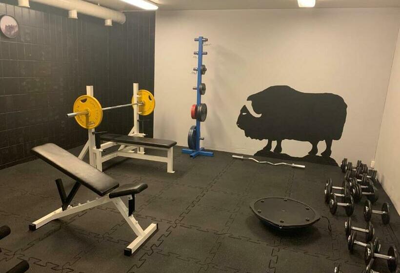 هاستل Basecamp Frich`s Hjerkinn