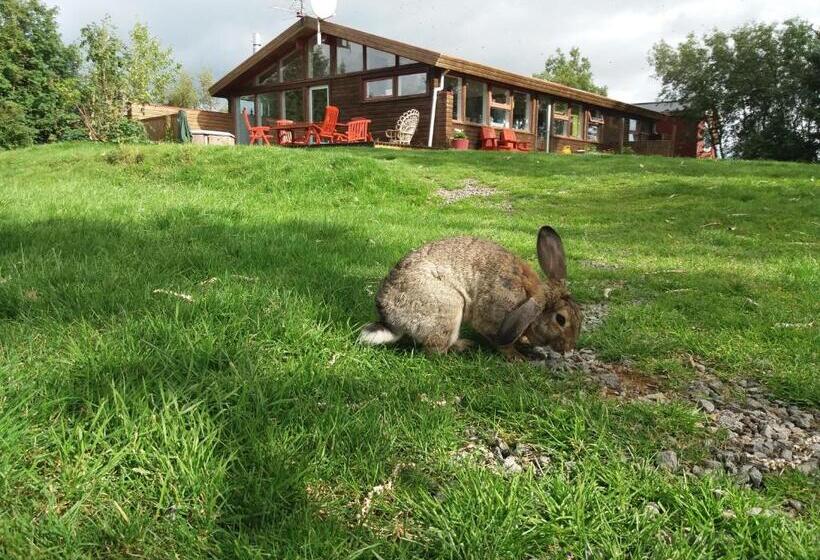 هاستل Geysir Hestar