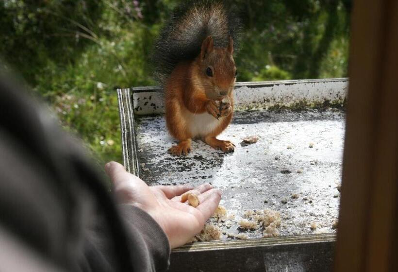 ユースホステル Kvitåvatn Fjellstue