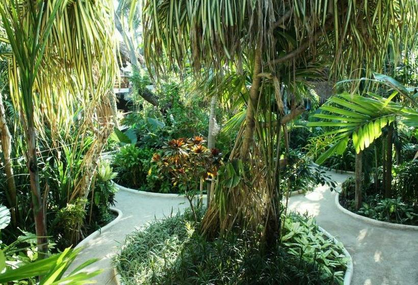 הוסטל Nigi Nigi Nu Noos  E  Nu Nu Noos