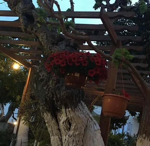 هاستل The Bunch Of Grapes Inn