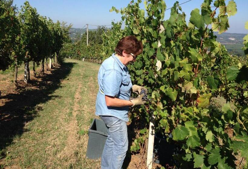 B&b Cantine Pietronero