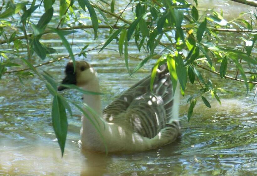 住宿加早餐 A La Mare Du Vieux Chêne