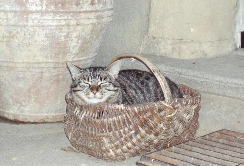 住宿加早餐 A La Mare Du Vieux Chêne