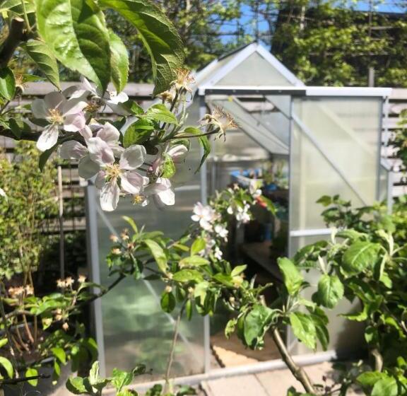 住宿加早餐  Bij Van Der Veer