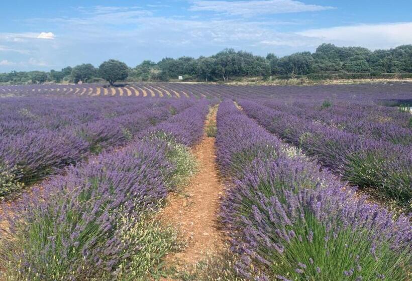 住宿加早餐 Chambre D Hôtes Climatisée Avec Terrasse Et Spa