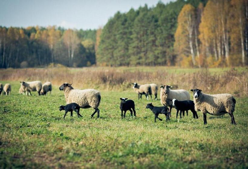 تختخواب و صبحانه Dubingių žirgynas