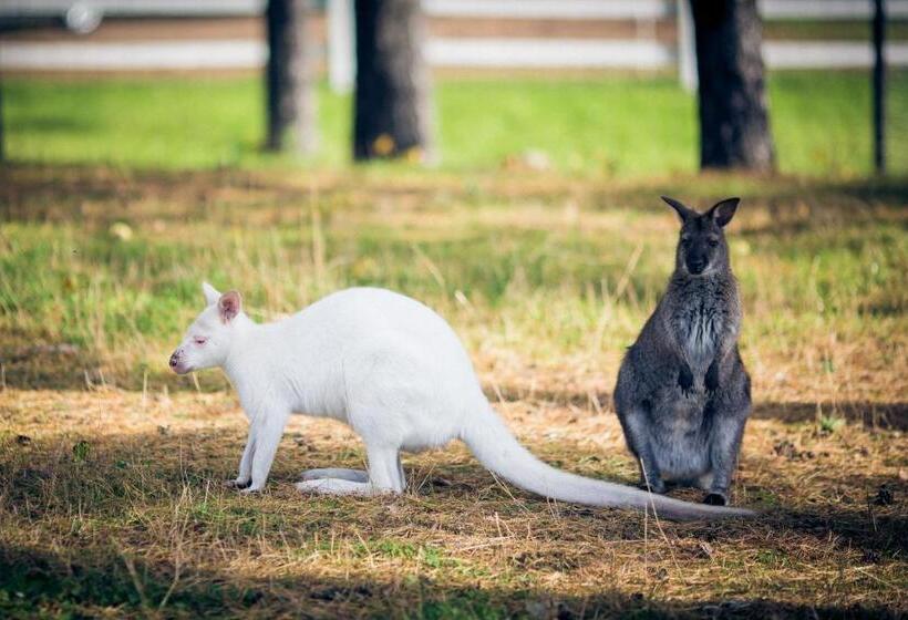 تختخواب و صبحانه Dubingių žirgynas