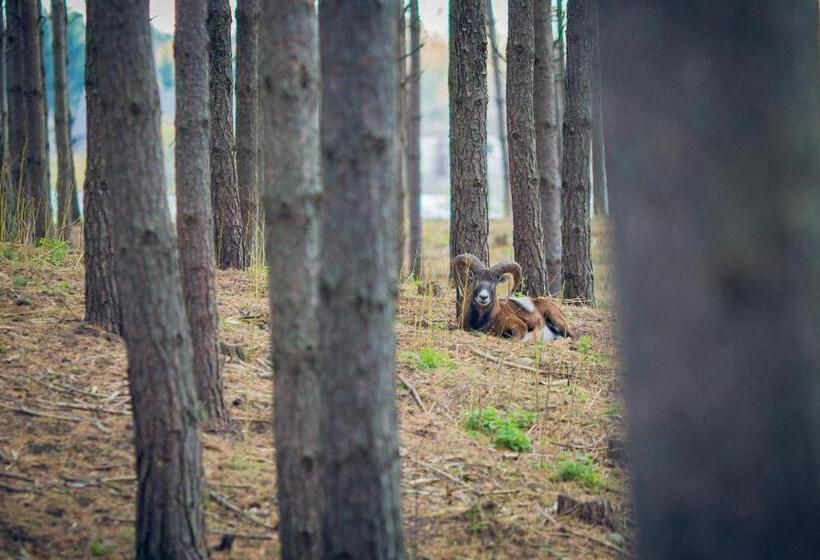 تختخواب و صبحانه Dubingių žirgynas