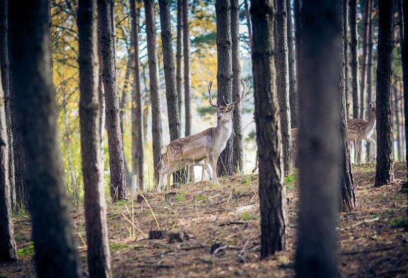 تختخواب و صبحانه Dubingių žirgynas