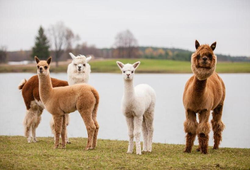 تختخواب و صبحانه Dubingių žirgynas