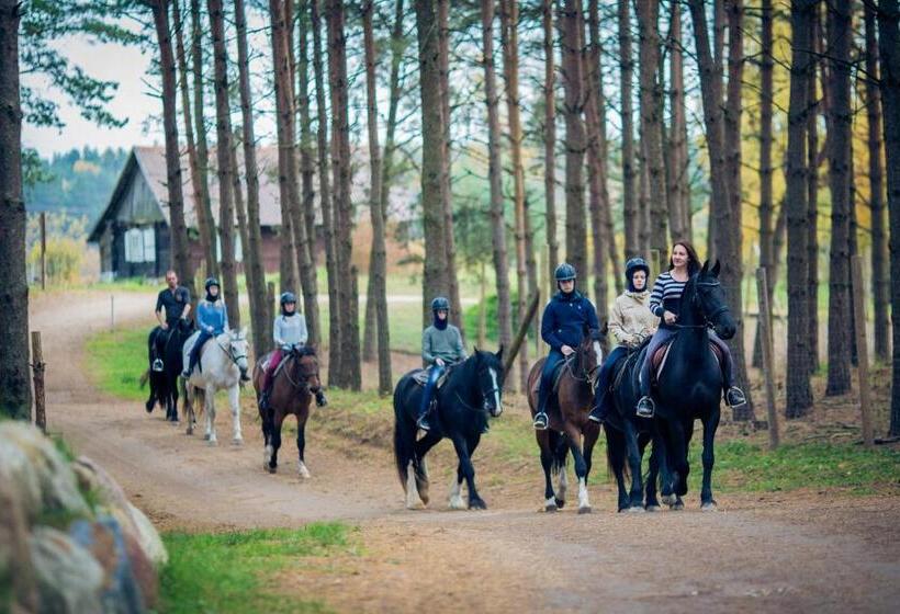 تختخواب و صبحانه Dubingių žirgynas