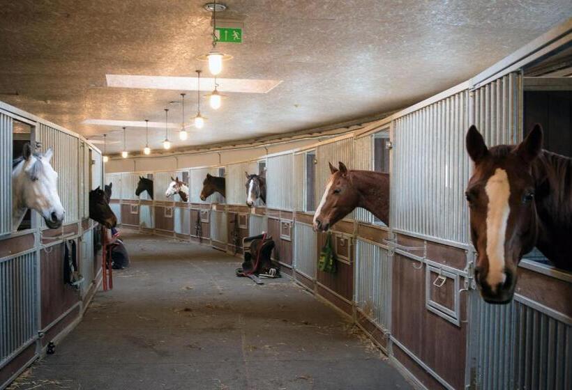 تختخواب و صبحانه Dubingių žirgynas