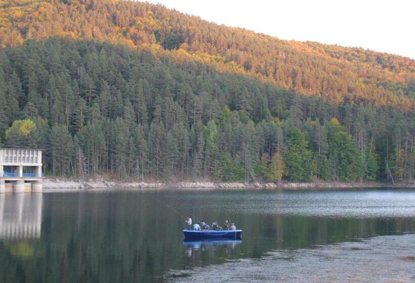 Family Hotel The Body