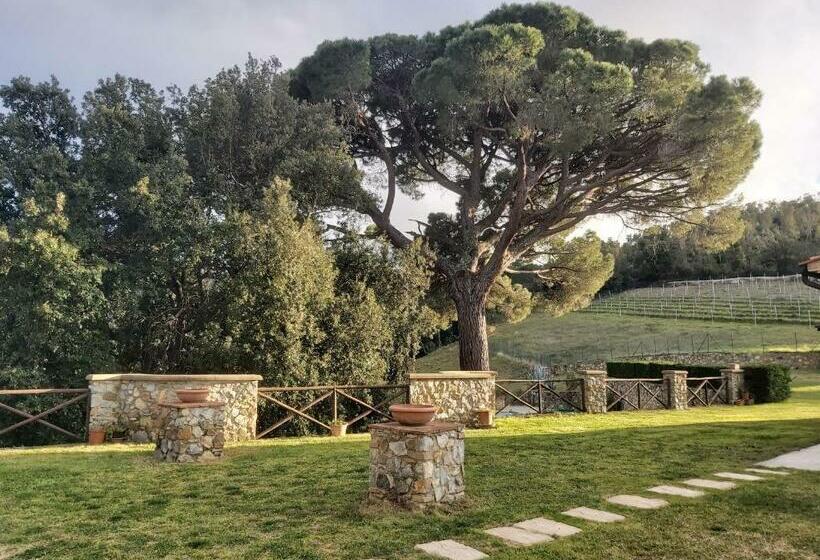 ホテル Agriturismo Aia Leccioni