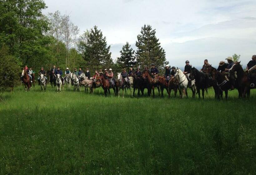 호텔 Agriturismo Corte Del Gallo