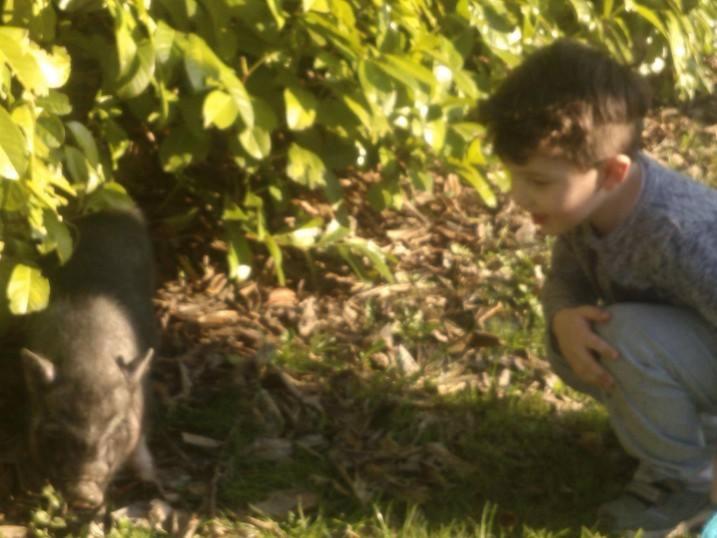 호텔 Agriturismo Corte Del Gallo