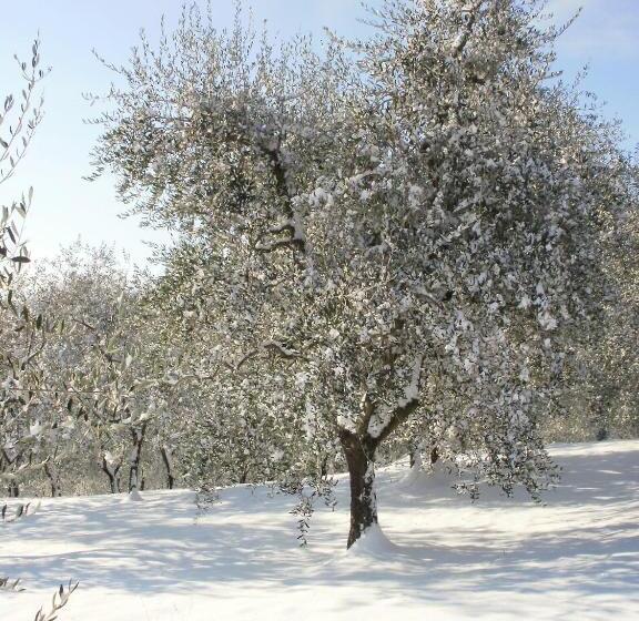 בית מלון כפרי Agriturismo Il Palazzaccio