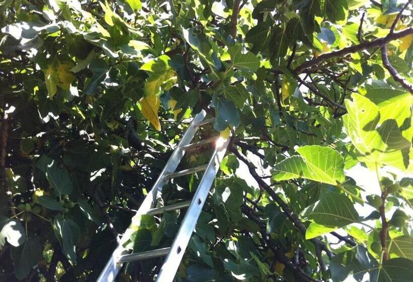 فندق Agriturismo Il Palazzaccio