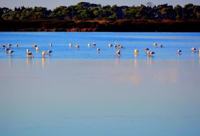 בית מלון כפרי Agriturismo Santa Lucia