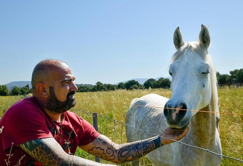 בית מלון כפרי Agriturismo Santa Lucia