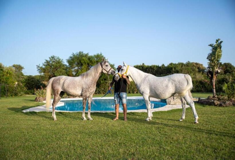בית מלון כפרי Agriturismo Santa Lucia