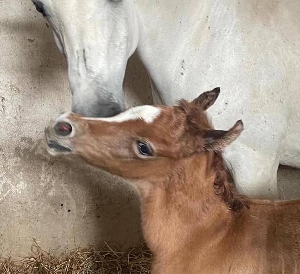 בית מלון כפרי Agriturismo Santa Lucia