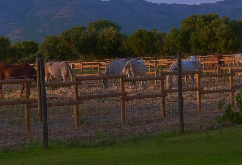 בית מלון כפרי Agriturismo Santa Lucia