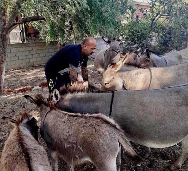 בית מלון כפרי Agriturismo Santa Lucia