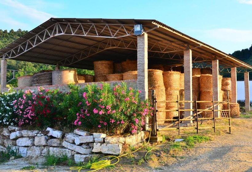 Отель Agriturismo Terre Di Musignano