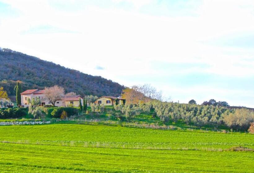 בית מלון כפרי Agriturismo Terre Di Musignano