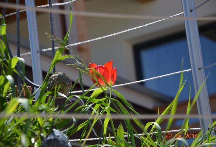 호텔 Chalet Dolomites