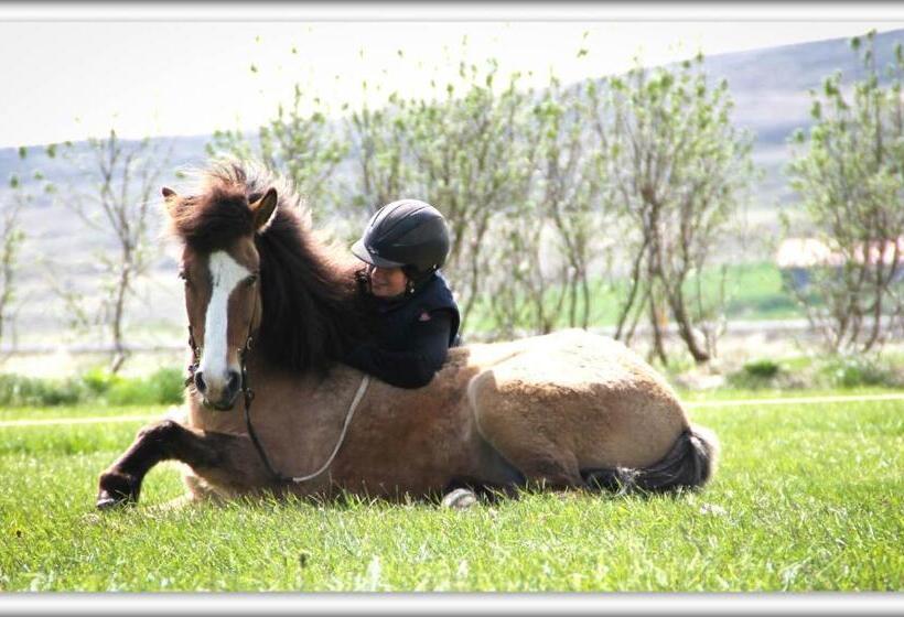 هتل Dæli Guesthouse