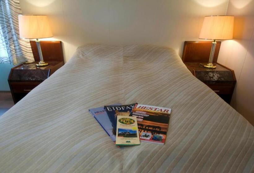 هتل Dæli Guesthouse