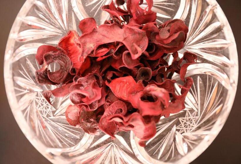 בית מלון כפרי Glamping Il Sole