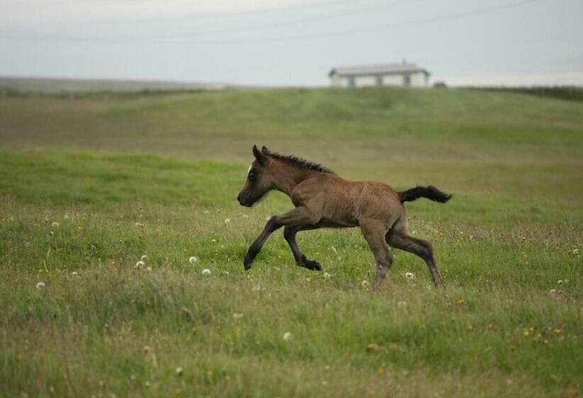 هتل Hofsstadir Farmhouse
