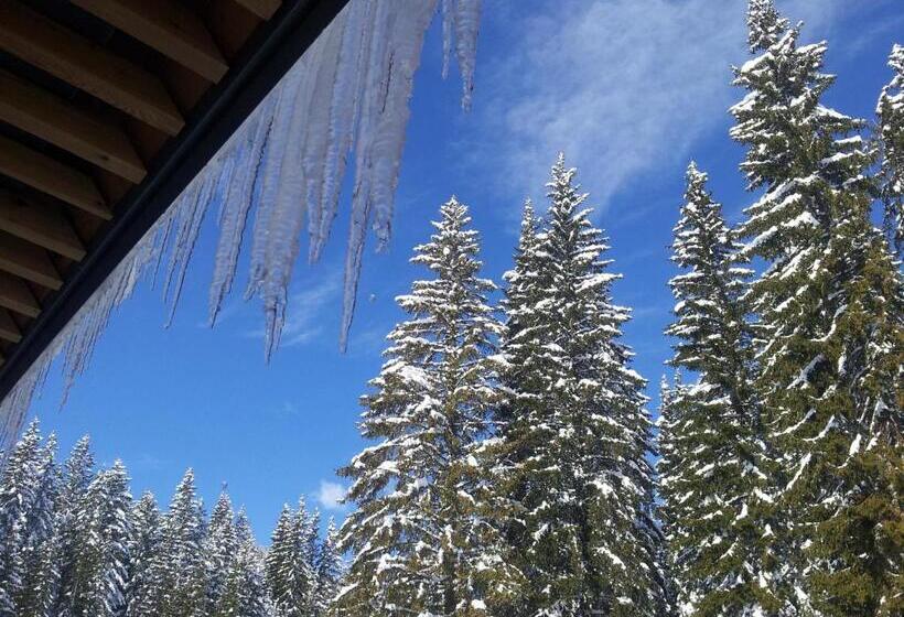 هتل Jelka Pokljuka