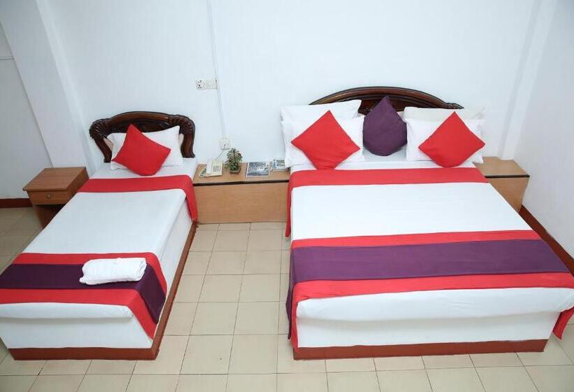 בית מלון כפרי Nelly Star