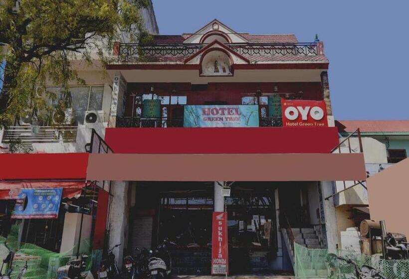 فندق Oyo 87525  Green