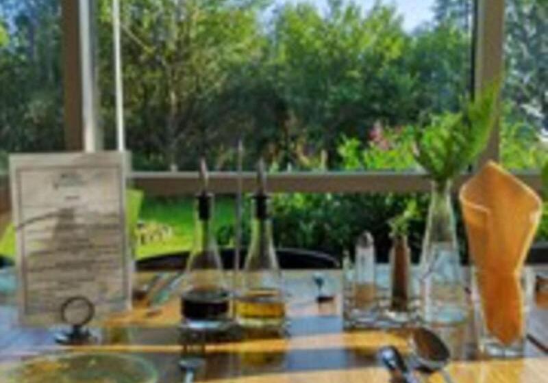 هتل Sólheimahjáleiga Guesthouse