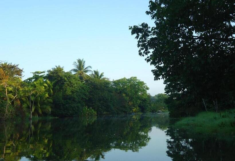 فندق Veragua River House