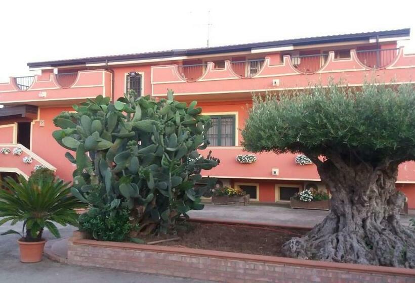 Le Palme Bed And Breakfast