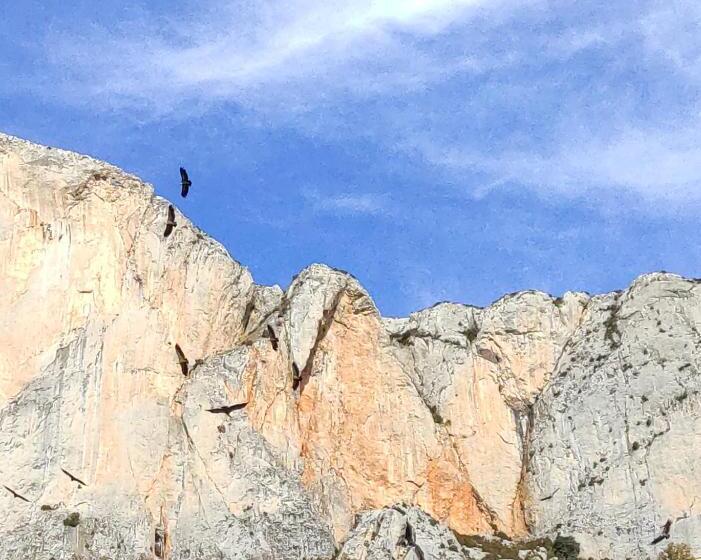 پانسیون Casa Rural Vilaspasa, Alquiler Integro